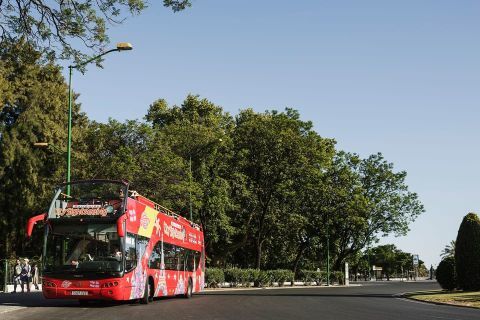 City sightseeing hop on hop off bus tour 3