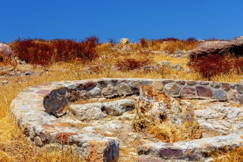 Petrified forest