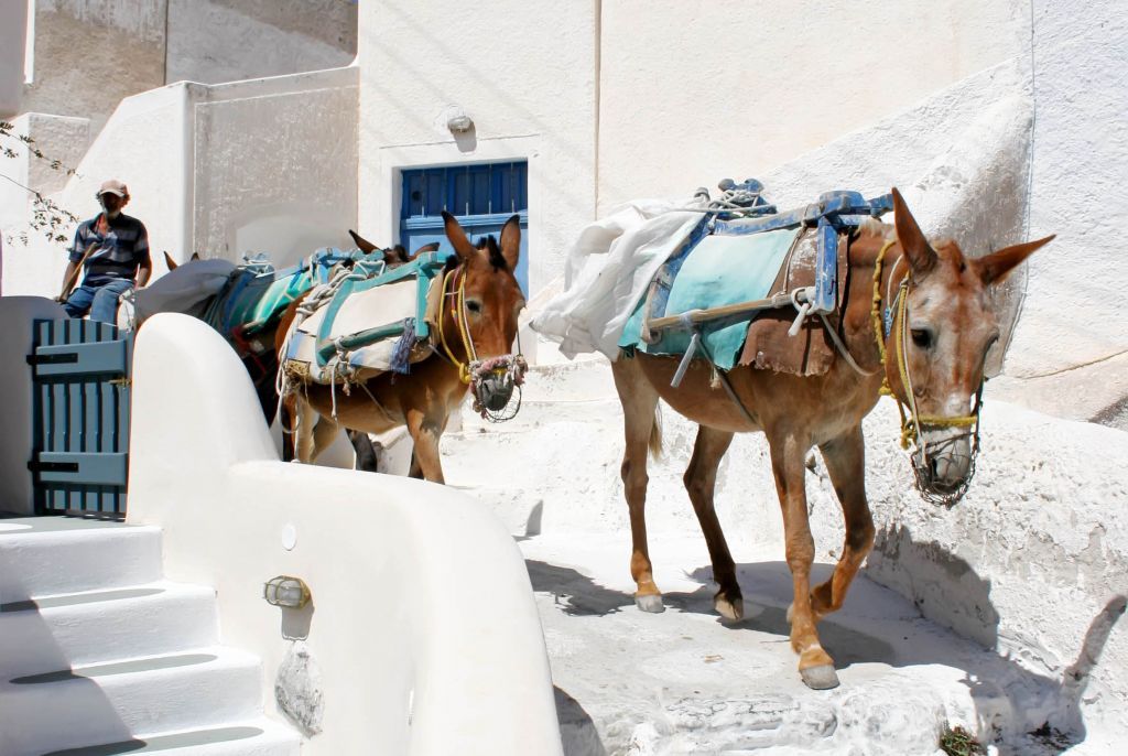 santorini-finikia-9