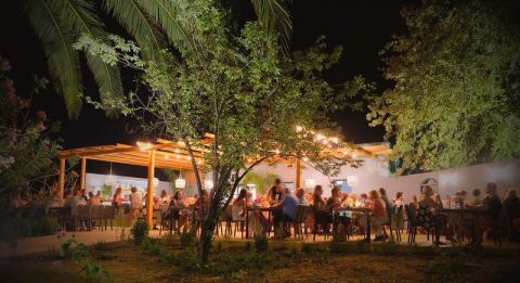 Blue Bamboo Serifos