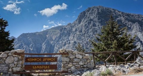 Bus Road Trip to Samaria Gorge 3