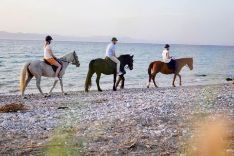 Horseback riding trip with digital photos 2
