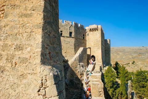 Organized tours