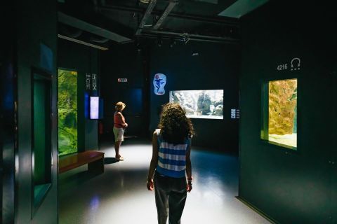 Aquarium Admission Ticket 3